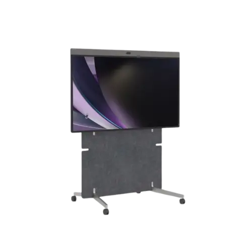 Interactive Displays